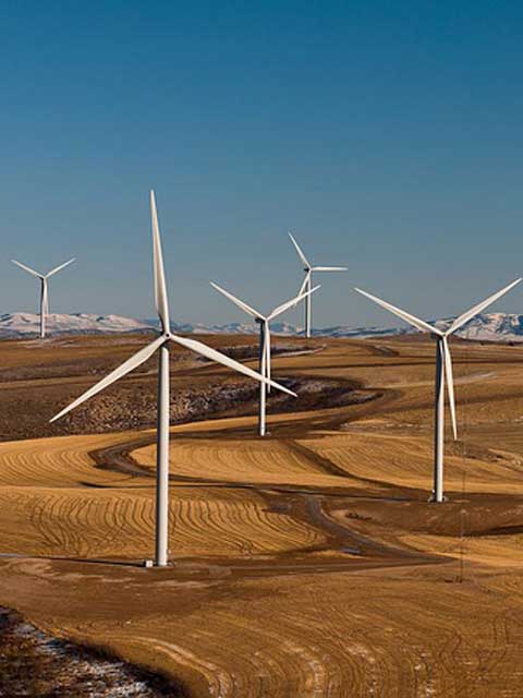 即时到账快速的手机号连环呼叫软件